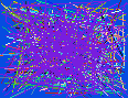 people search email lookup